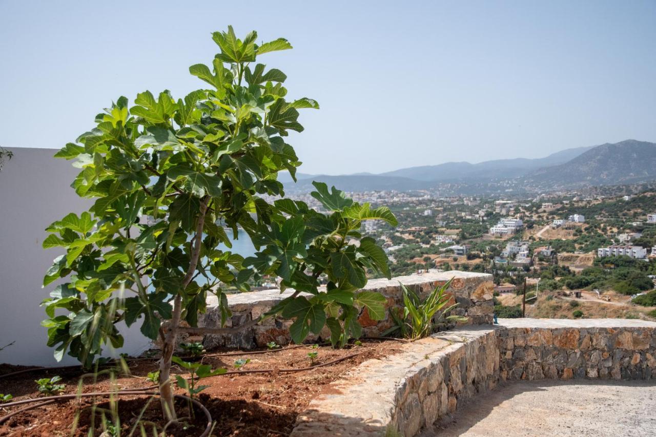 Miracle View Villas Agios Nikolaos  Exterior photo
